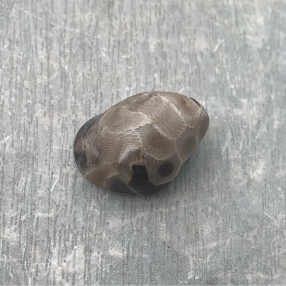 Petoskey stone - Picture 5 of 6